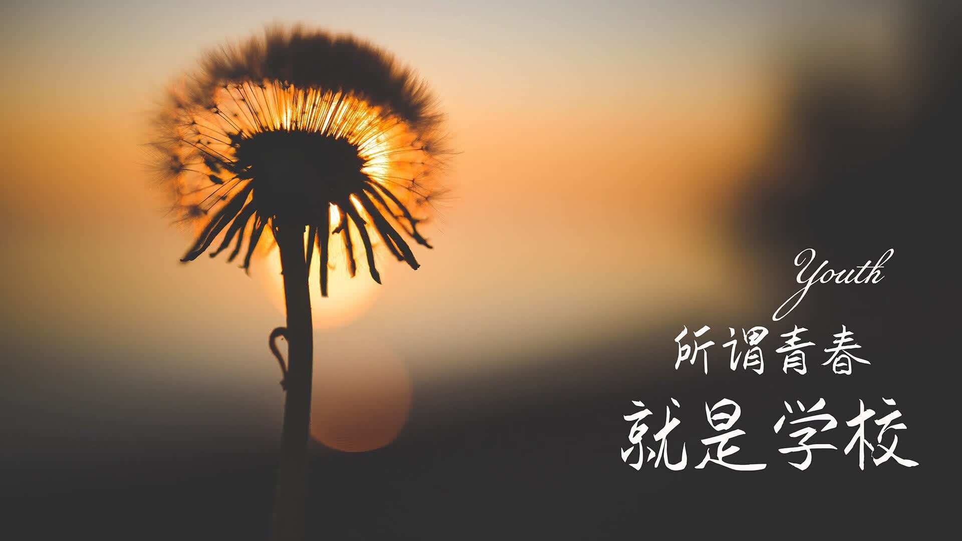 柴油发电机组高清图片（柴油发电机组照片高清）